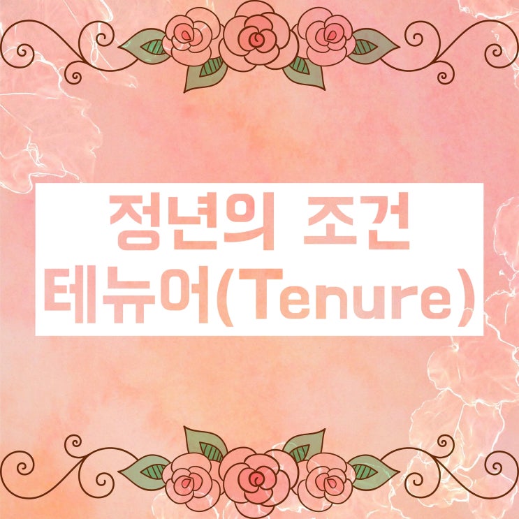 대학교수 연봉, 정년 어느 정도일까요? 대학교수 연봉, 정년 어느 정도일까요?