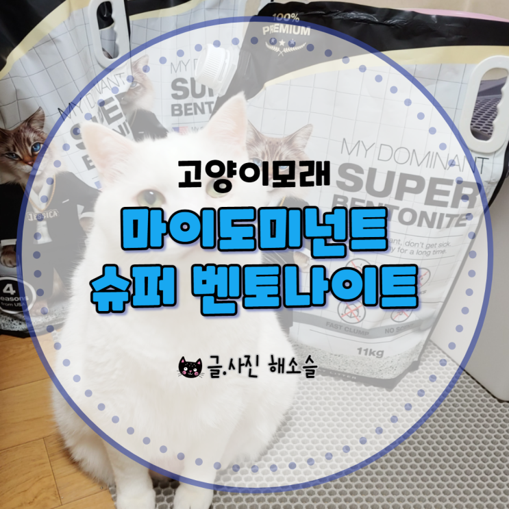 고양이 벤토나이트 모래 추천, 먼지 날림 적고 응고력 좋은 마이도미넌트