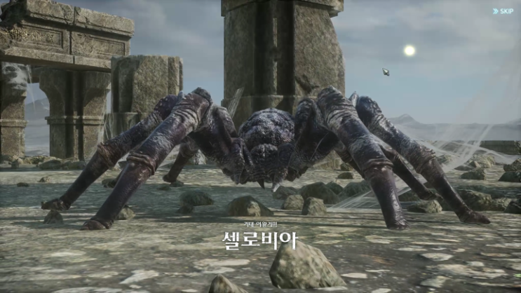  오딘 거대 여왕거미 셀로비아 공략
