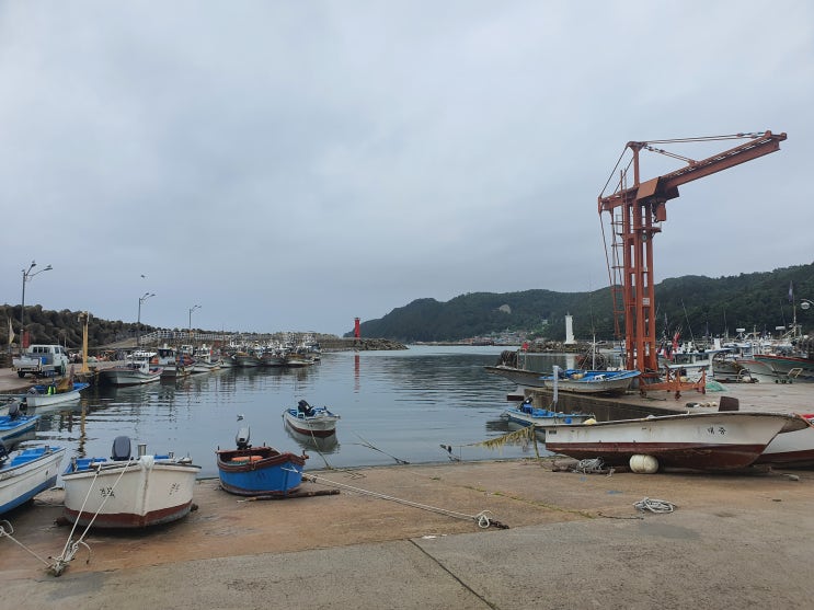  요녀석!!! ㅋㅋㅋ  동해안 길냥이들은 절반 개냥이들 ㅋㅋ