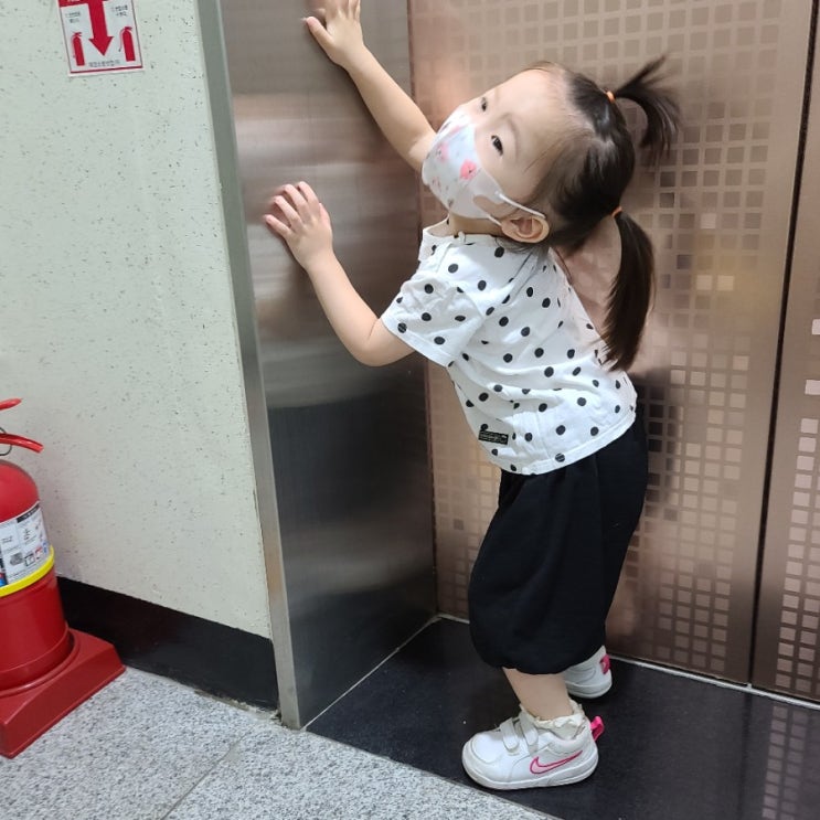  785일 육아일기 바람개비 요정