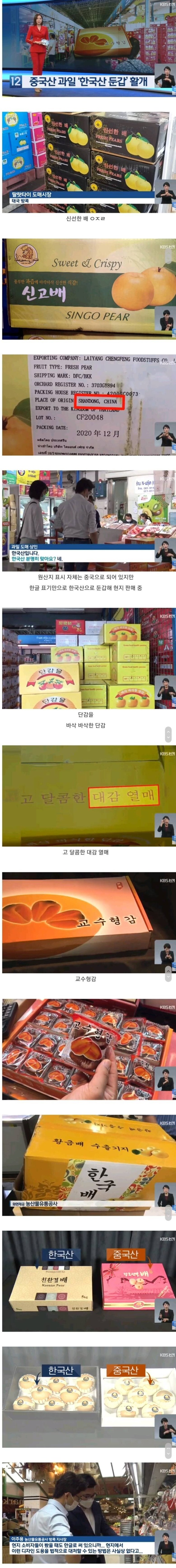 교수형감