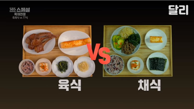  육채 전쟁 2!!! 너무 재밌잖아?!
