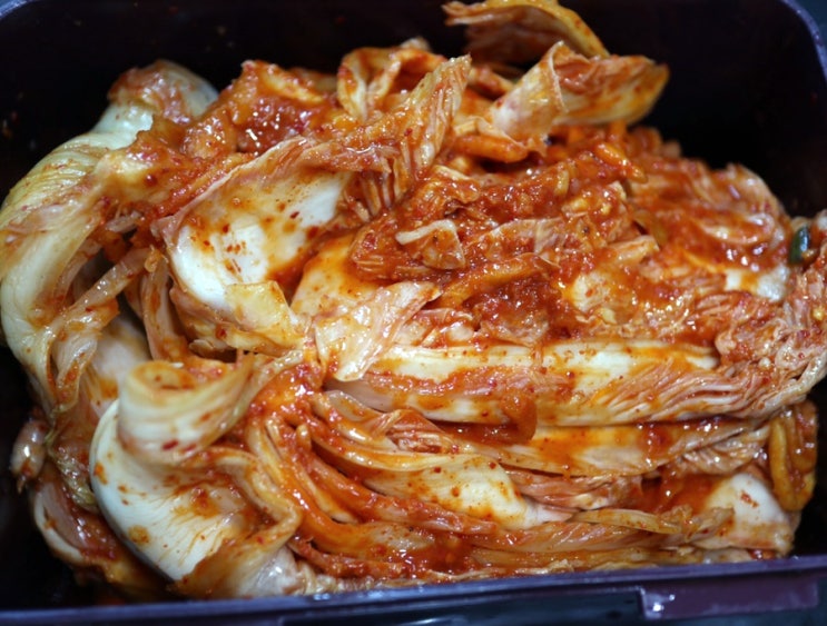  전라도김치추천 여름배추김치는 나리찬 포기김치가 최고야