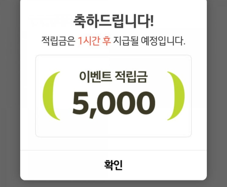  5시전에 gs shop시크릿적립금 확인해보세요 (ft.5시 5천원적립금 선착순)