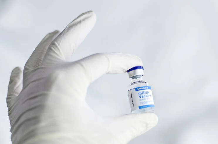  mRNA 백신 관련주 셀루메드 주가전망 분석