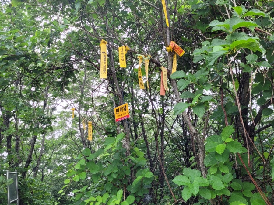 구하동 사진 1