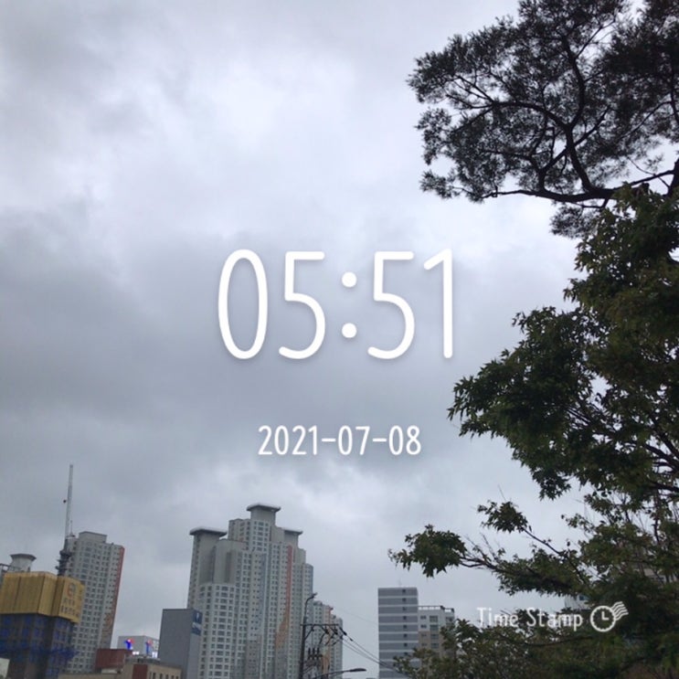  다시, 알찬하루 만들기 ~ (46일차)