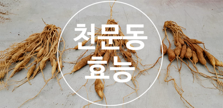  천문동효능 제대로 알아보기