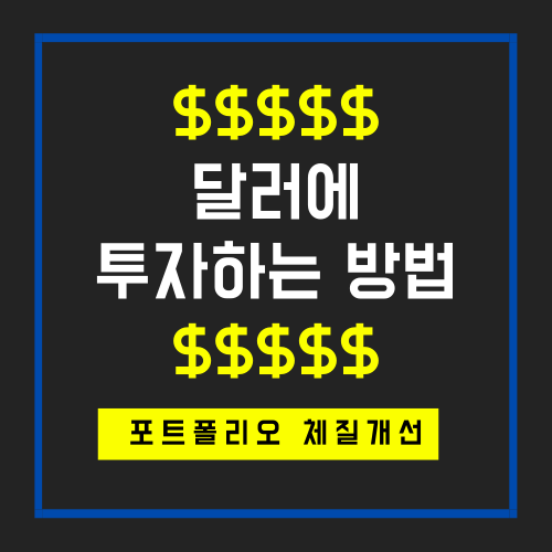 달러에 투자하는 방법_자산 포트폴리오 헷징수단 체질개선