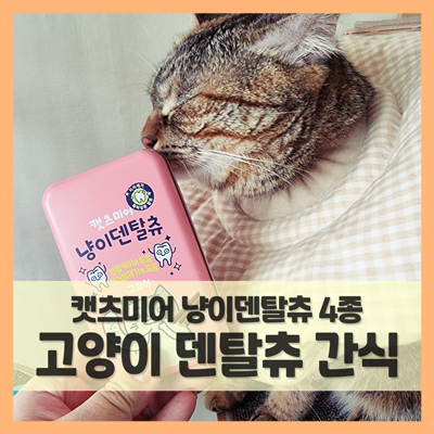  고양이 껌 씹으면 치석제거 될까? (f. 캣츠미어 냥이덴탈츄)