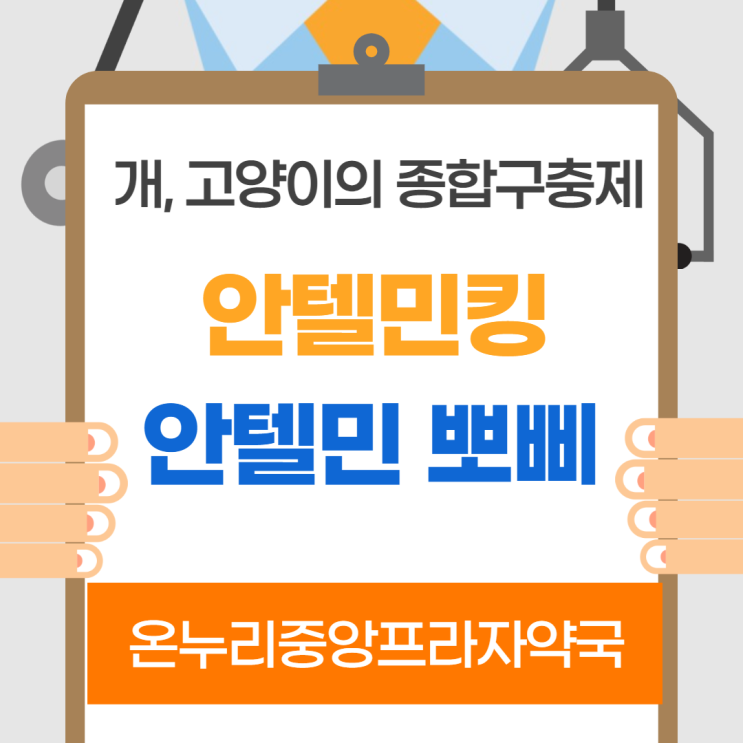 안텔민 킹 안텔민 뽀삐(인천 온누리중앙프라자약국)