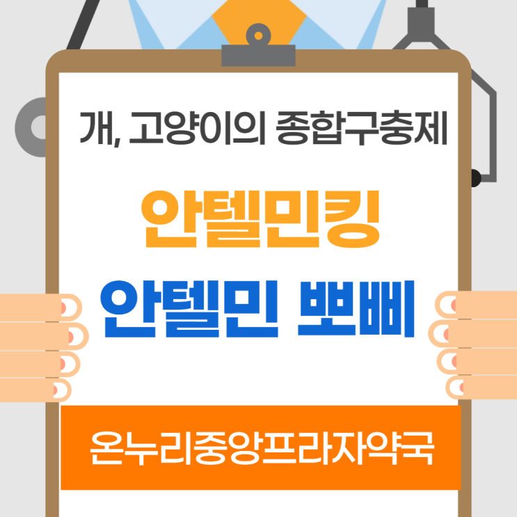  안텔민 킹 안텔민 뽀삐(인천 온누리중앙프라자약국)