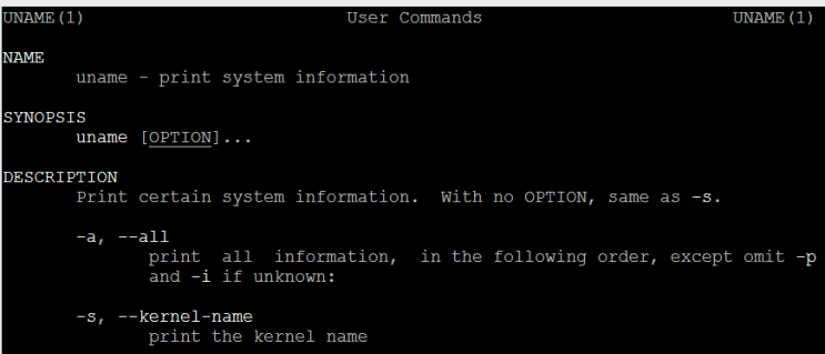  linux uname 사용법