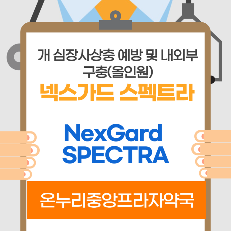 넥스가드 스펙트라(인천 온누리중앙프라자약국)
