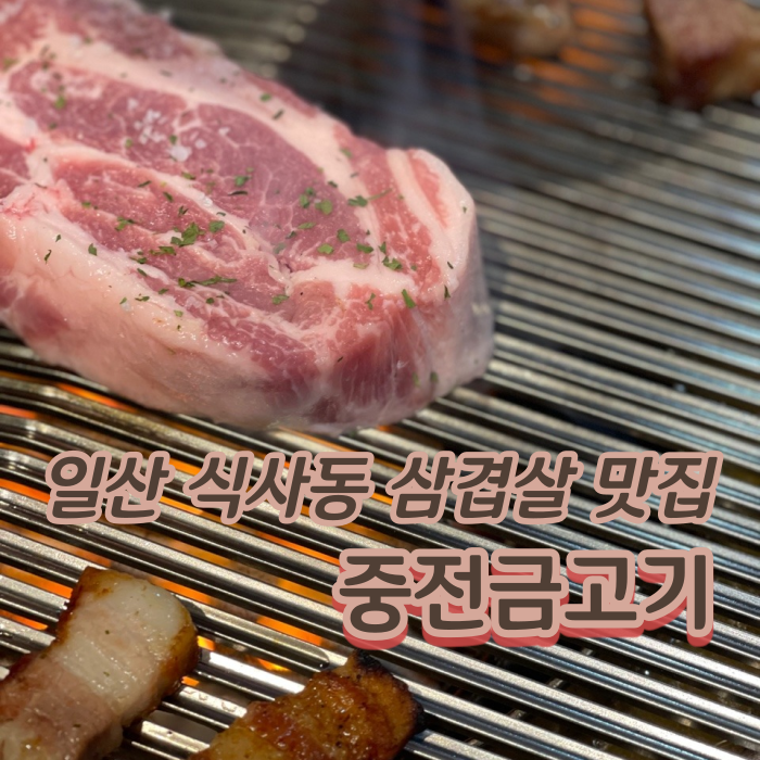 [고양 일산동구] 식사동 위시티 연탄 삼겹살 맛집 :: '중전 금고기'
