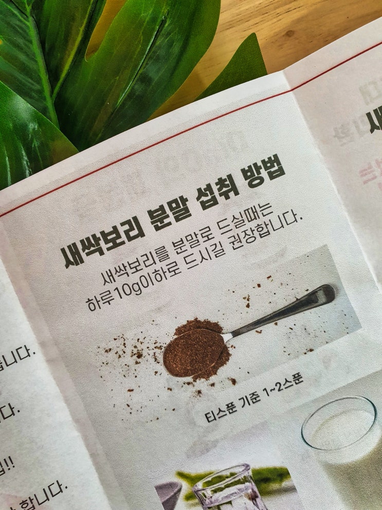  무농약 새싹보리 분말, 두유와 함께 먹는 법