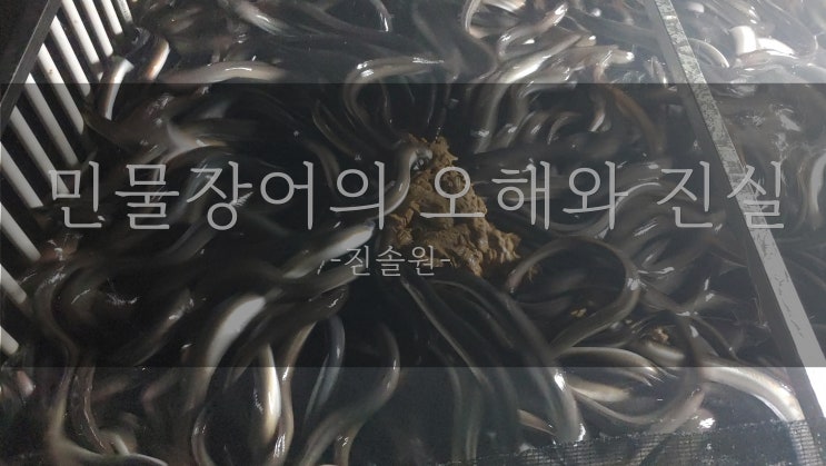  민물장어에 대한 오해와 진실들.