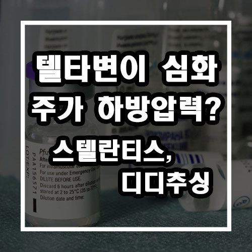  델타변이 우려속 하방압력? (스텔란티스, 디디추싱)
