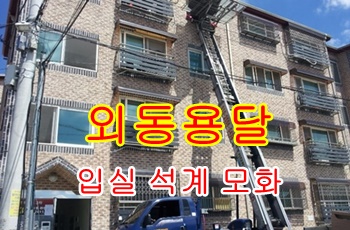 외동용달 모화 석계 불국사 용달~콜. 외동용달 모화 석계 불국사 용달~콜.