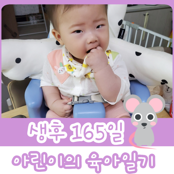  165일차- 5개월 아기 발달 사항 / 문센 여름 학기 휴강