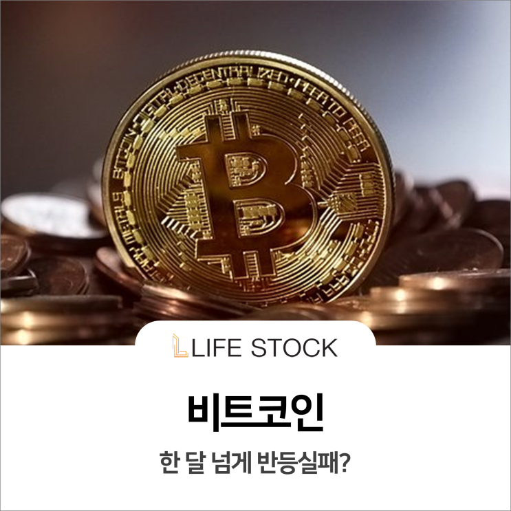  비트코인 현황 한눈에 담기