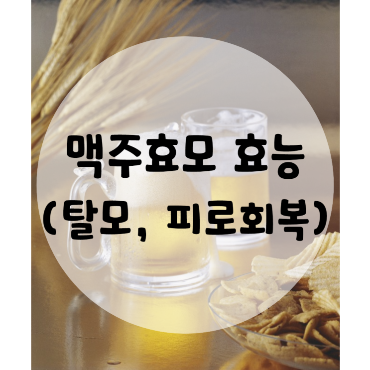  맥주효모 효능 탈모, 피로회복에 좋아요