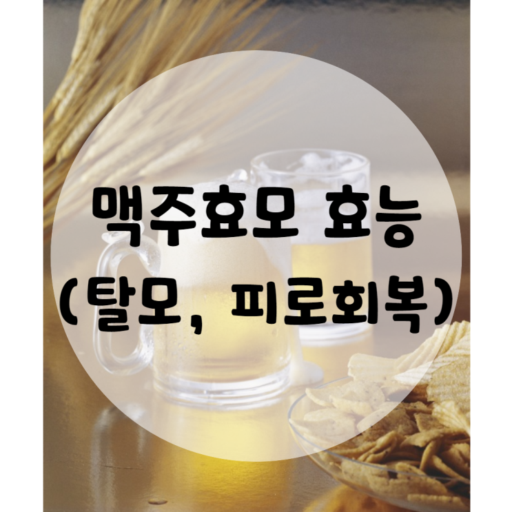 맥주효모 효능 탈모, 피로회복에 좋아요