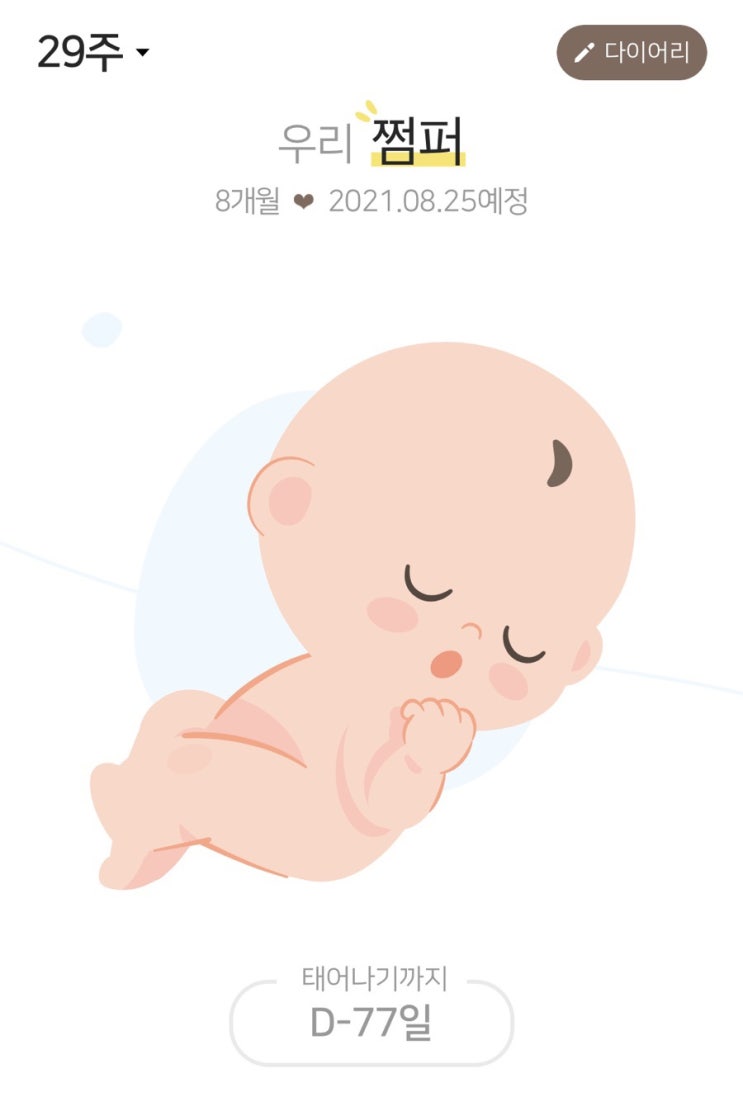  임신 29주 배뭉침 임산부 사타구니 통증 와이존 통증