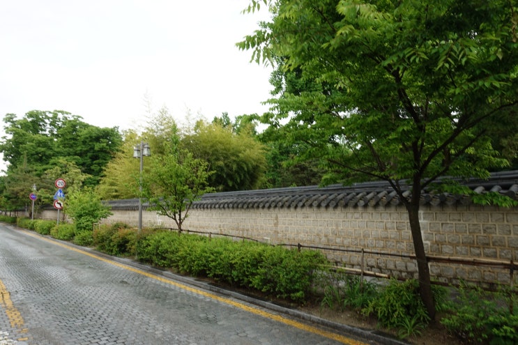  남성 활력제 찾으신다면