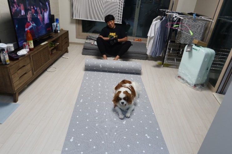  강아지 미끄럼방지 매트 롤타입이라 잘라서 써요.