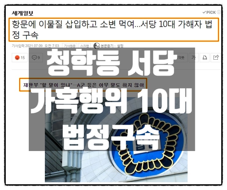 또래 항문에 이물질 삽입 등 청학동 서당 가혹행위 10대 '법정구속' 또래 항문에 이물질 삽입 등 청학동 서당 가혹행위 10대 '법정구속'