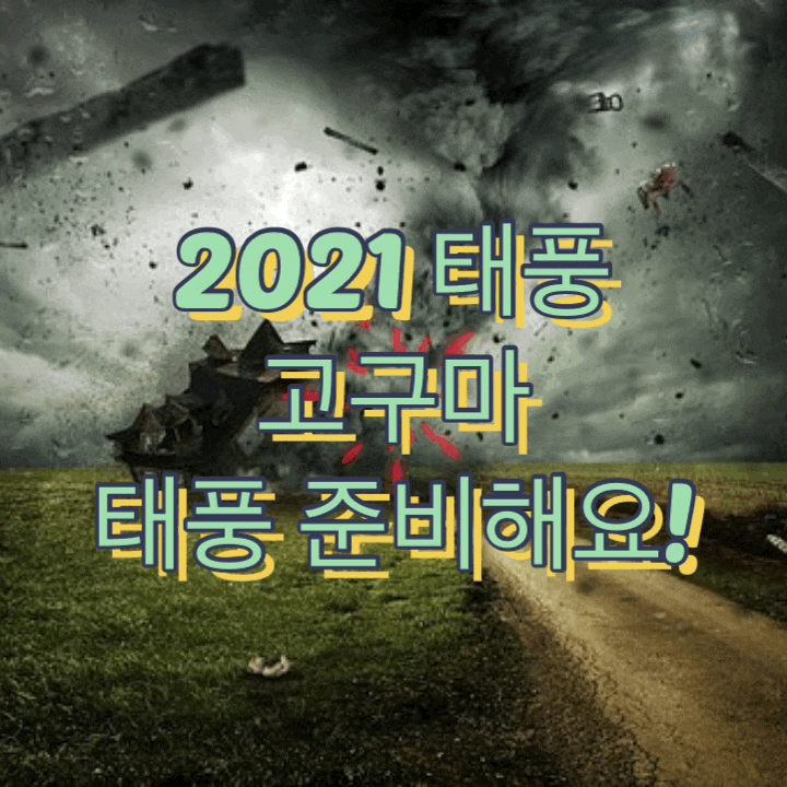  2021 태풍 고구마 뜻 경로 대처방법