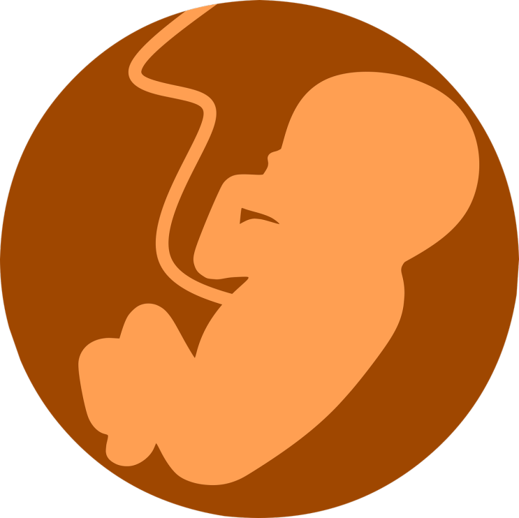 임신초기 : 임신2개월 신체변화