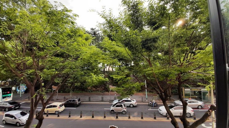  녹지를 매일 조금 보는 것으로도 치매에 도움