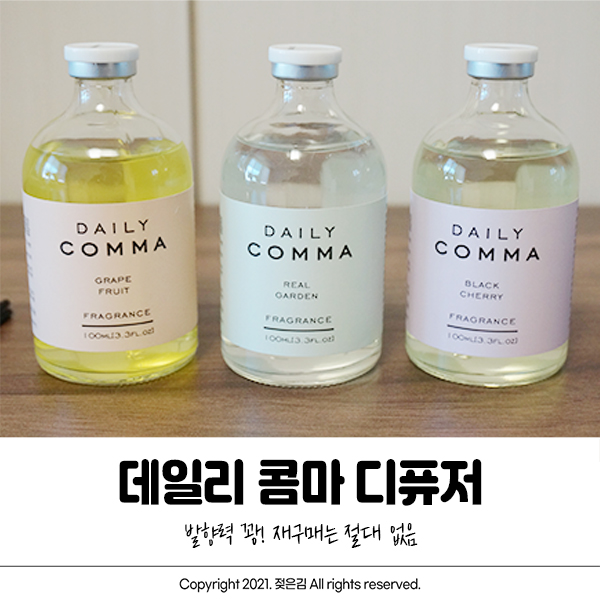 데일리 콤마 디퓨저 재구매는 없다 데일리 콤마 디퓨저 재구매는 없다