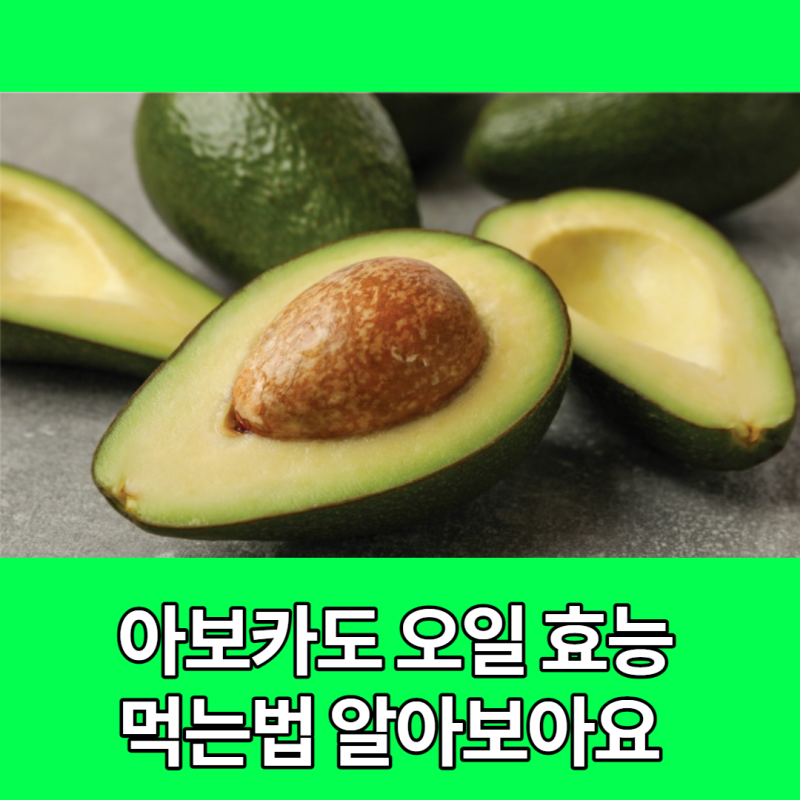 아보카드오일효능 먹는법알아보아요