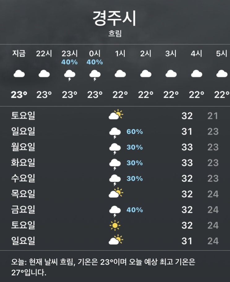  [Dairy] 여름휴가 시작! feat. 사회적 거리두기 4단계 시작