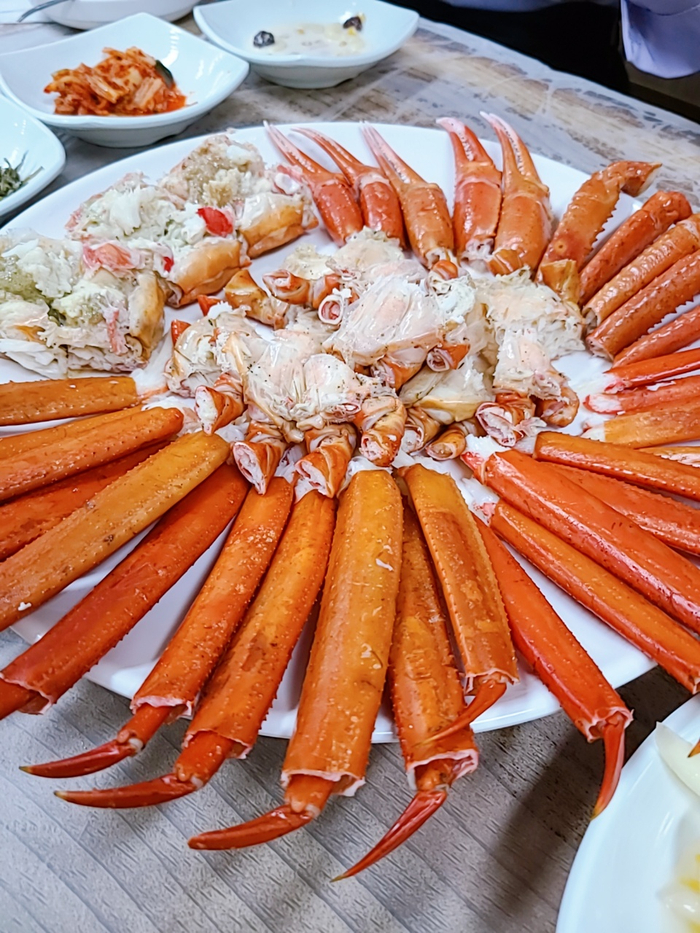  [속초] 365 붉은 대게 공판장 내돈내산 후기