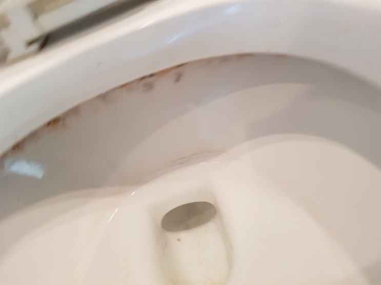  안양평촌라츠오피스텔