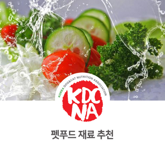  한국반려동물영양협회 정유경 익산지부장이 알려주는 애견수제간식 펫푸드 재료 추천_815 [펫푸드자격증/반려동물자격증/강아지식재료/펫푸드만들기/고양이사료/익산/광주/순천/남양주/경주]
