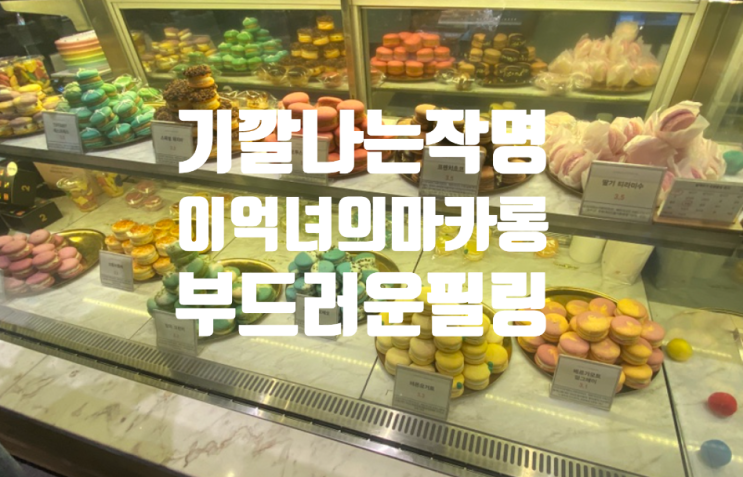  이억녀의 마카롱 판교 현대백화점 디저트 분당 마카롱 맛집 추천 ! 부산 서면 본점