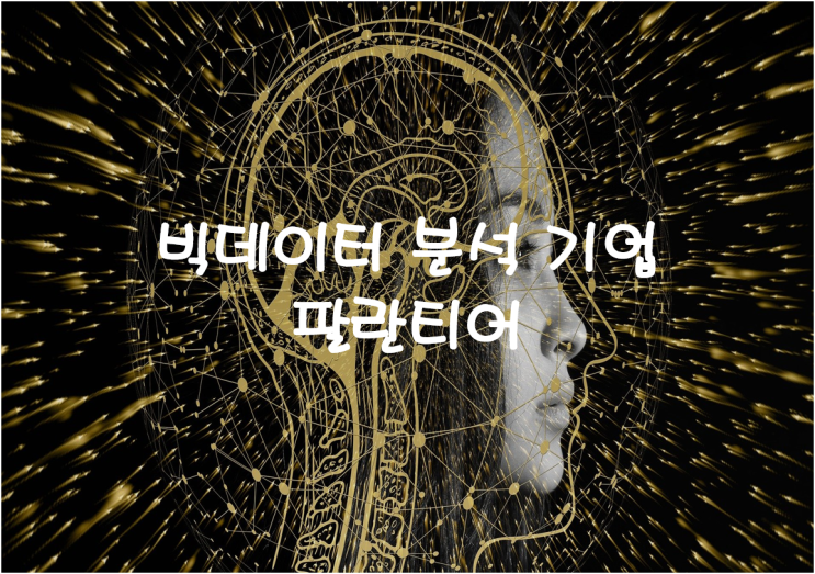  팔란티어(PLTR) 주가 및 분석 : 빅데이터 분석 기업