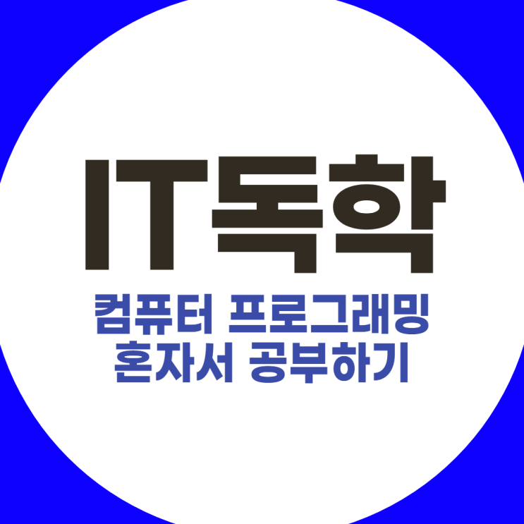  IT독학, 컴퓨터 프로그래밍 혼자서 공부하기