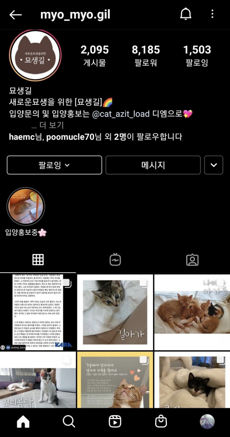  냥이들의 가족이 되어 주세요.