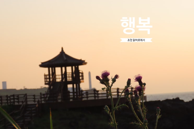 행복