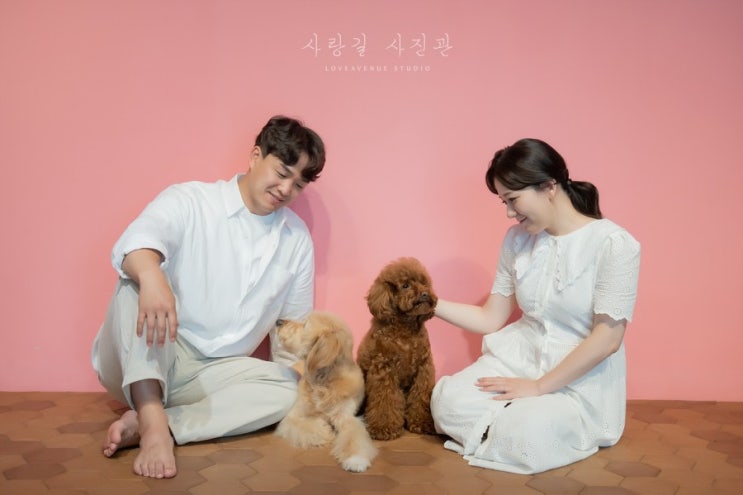  부산 애견동반 촬영은 사랑길사진관에서! +만삭사진