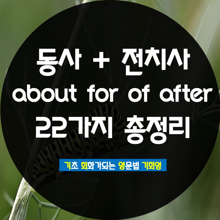 동사 + 전치사 (2) about / for / of / after - 기회영