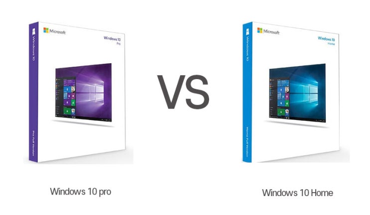윈도우 10 홈 프로 무슨 차이일까? DSP FPP 차이점 (Windows 10 Home vs pro)