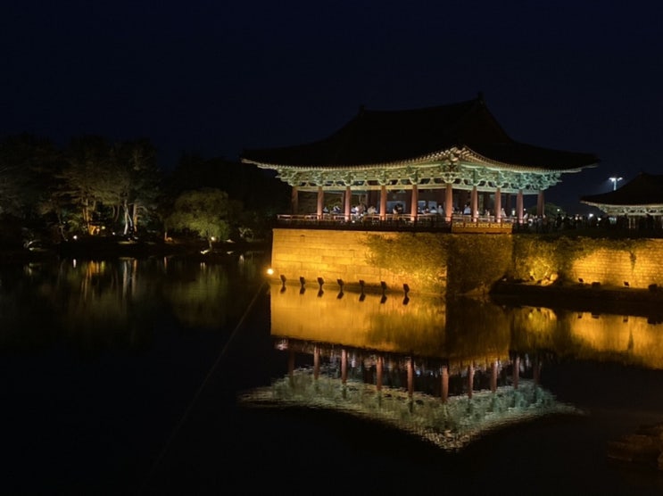 경주여행/경주 맛집/경주 카페/경주 함양집 한우물회/오스테리아밀즈/대릉원/올리브카페/경주 소옥/벤자마스